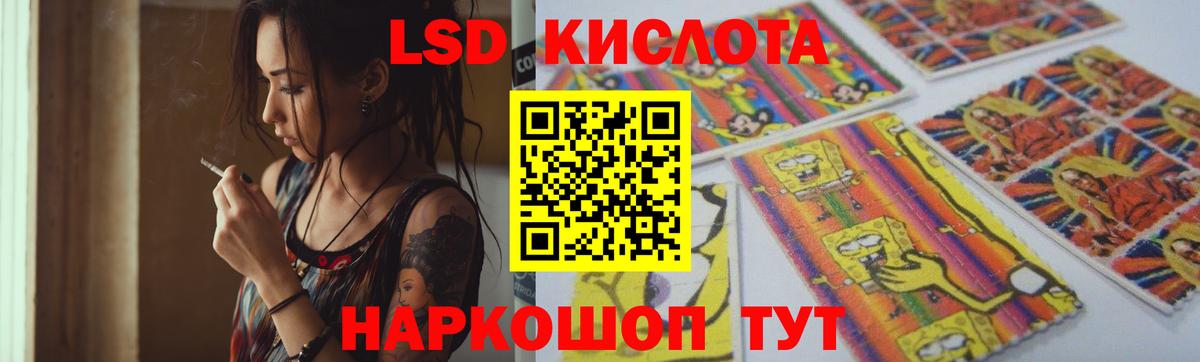 APVP Тельмана