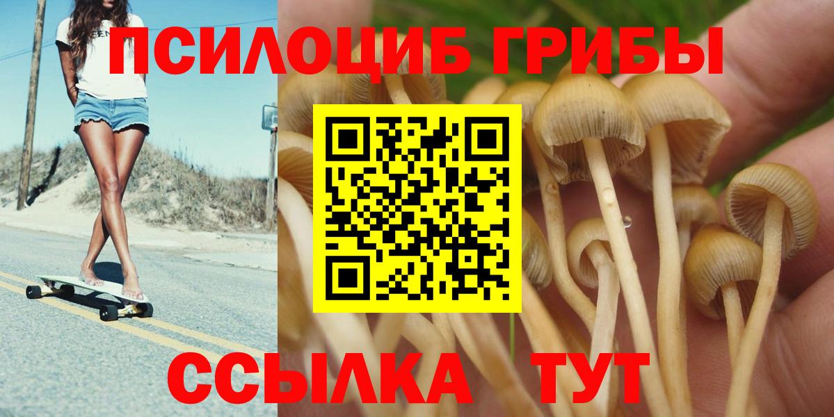 Тельмана  Псилоцибиновые грибы мухоморы  Псилоцибиновые грибы Magic Shrooms  Вход с VPN 