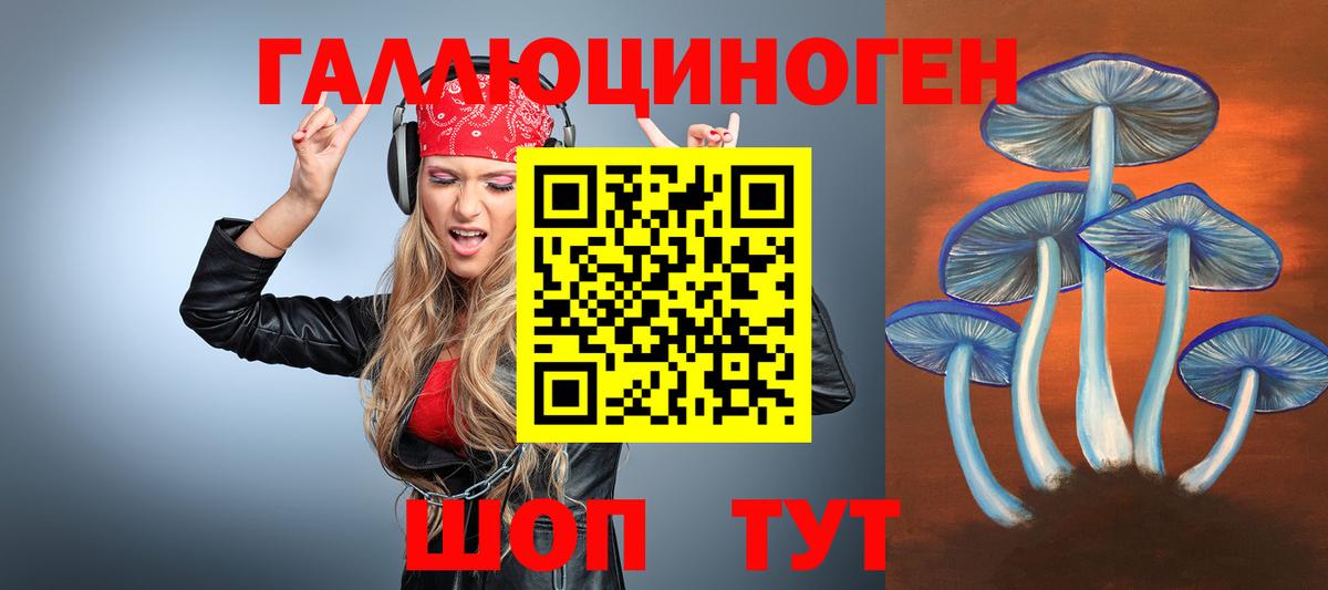 Псилоцибиновые грибы GOLDEN TEACHER Тельмана